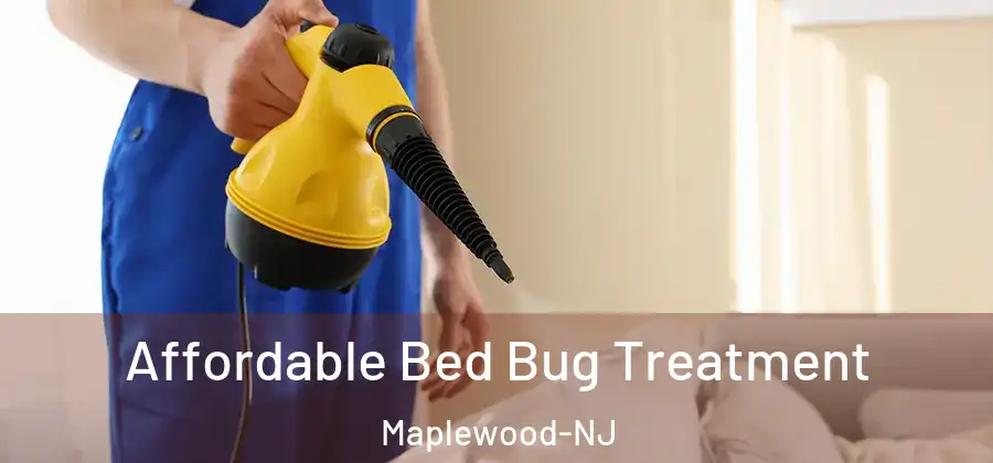 Affordable Bed Bug Treatment Maplewood-NJ