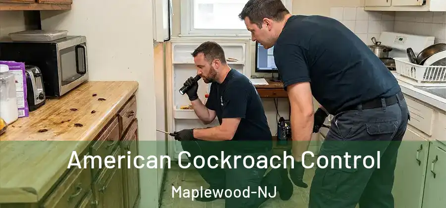 American Cockroach Control Maplewood-NJ