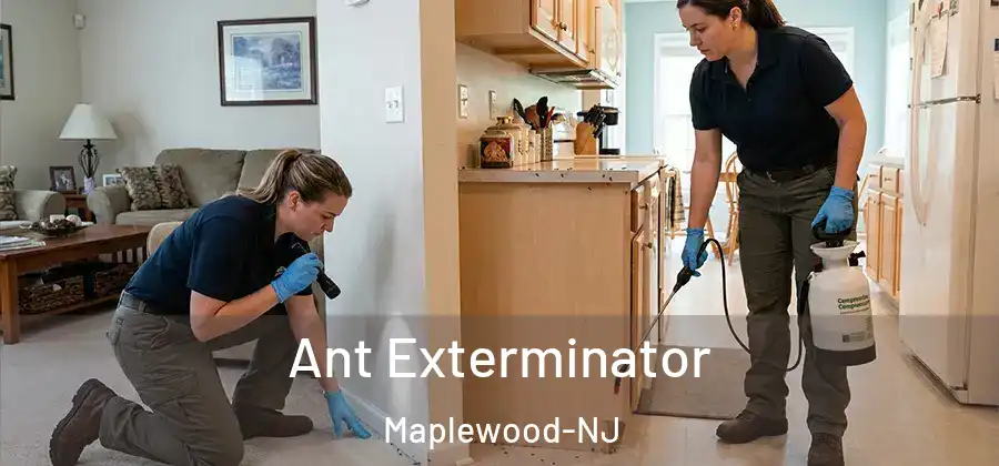 Ant Exterminator Maplewood-NJ