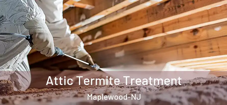 Attic Termite Treatment Maplewood-NJ