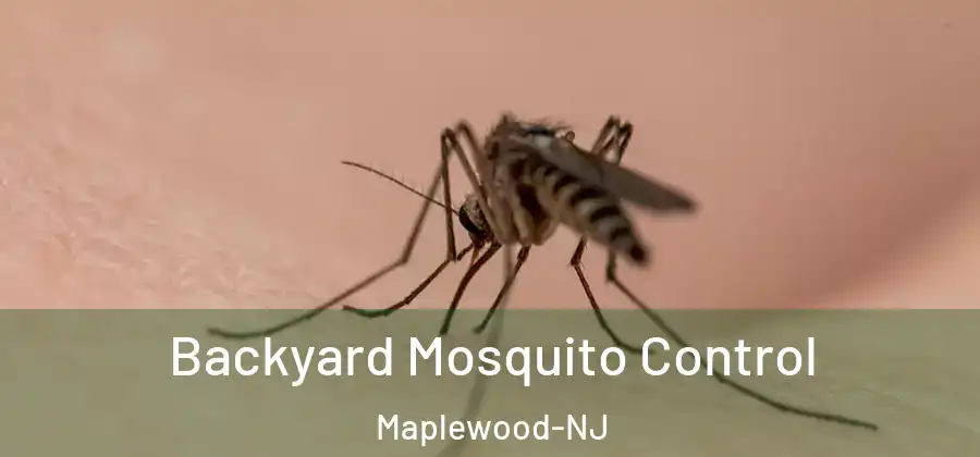  Backyard Mosquito Control Maplewood-NJ