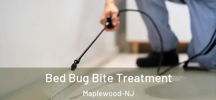 Bed Bug Bite Treatment Maplewood-NJ