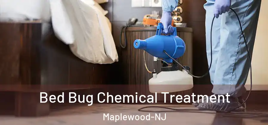  Bed Bug Chemical Treatment Maplewood-NJ