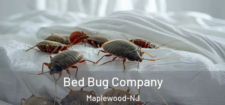  Bed Bug Company Maplewood-NJ