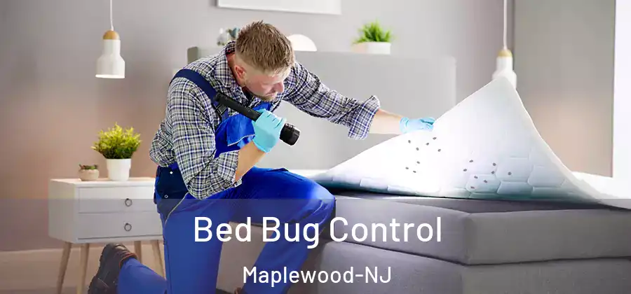 Bed Bug Control Maplewood-NJ