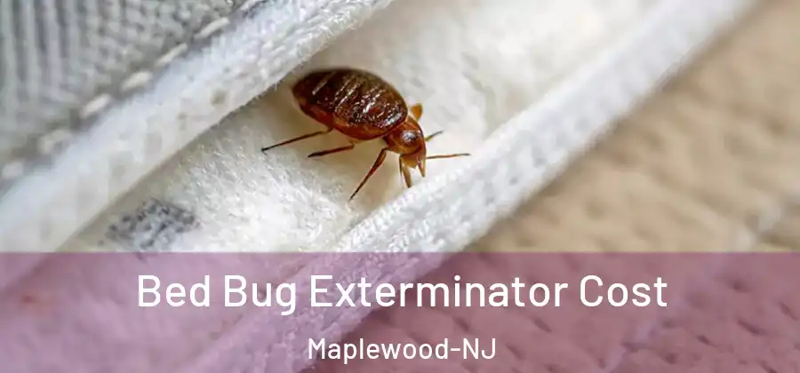 Bed Bug Exterminator Cost Maplewood-NJ