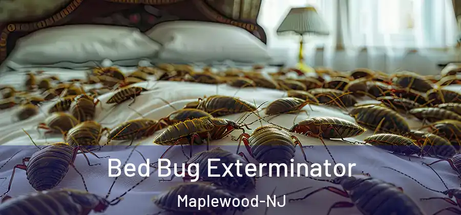  Bed Bug Exterminator Maplewood-NJ