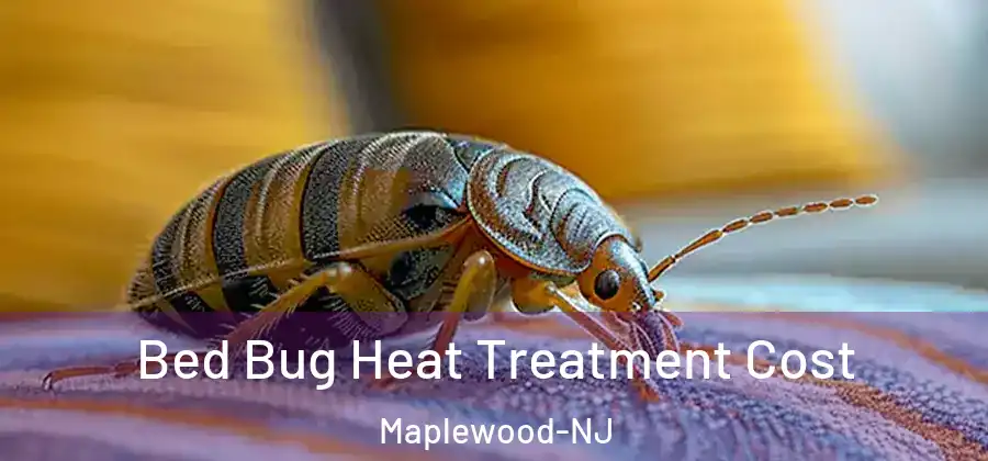  Bed Bug Heat Treatment Cost Maplewood-NJ