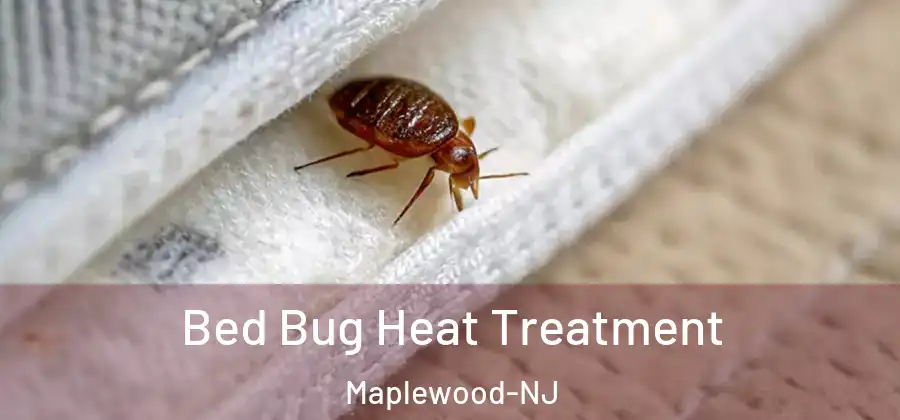 Bed Bug Heat Treatment Maplewood-NJ