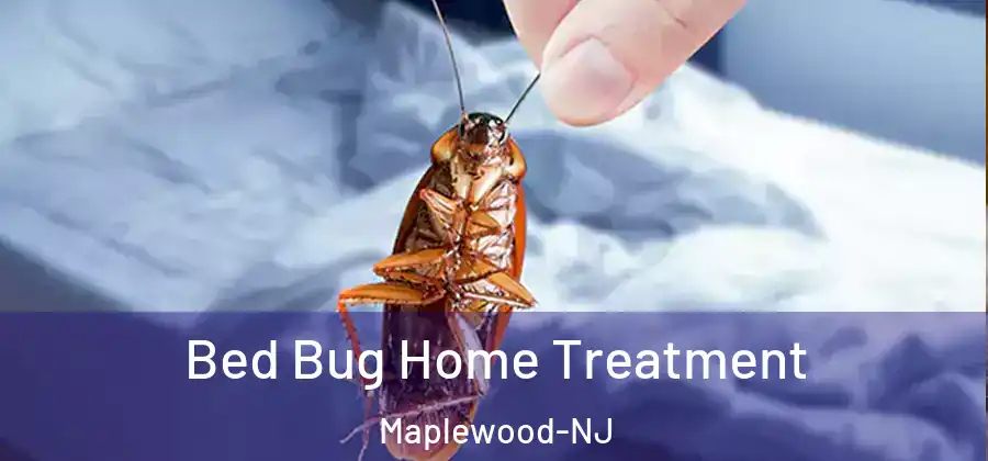  Bed Bug Home Treatment Maplewood-NJ