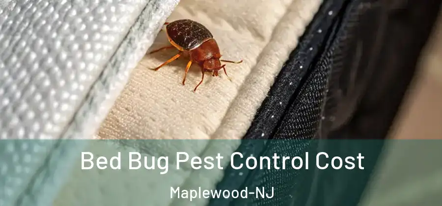 Bed Bug Pest Control Cost Maplewood-NJ