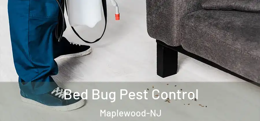  Bed Bug Pest Control Maplewood-NJ