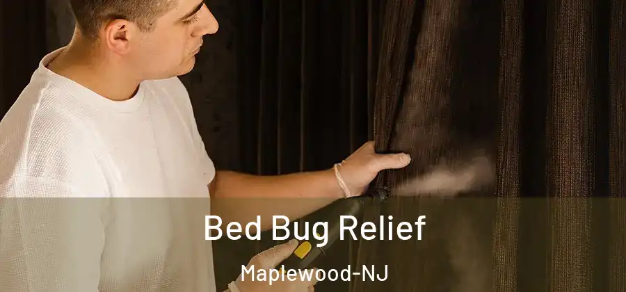 Bed Bug Relief Maplewood-NJ