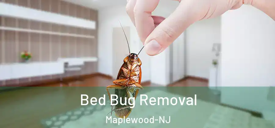 Bed Bug Removal Maplewood-NJ