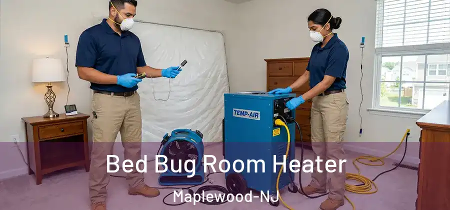 Bed Bug Room Heater Maplewood-NJ