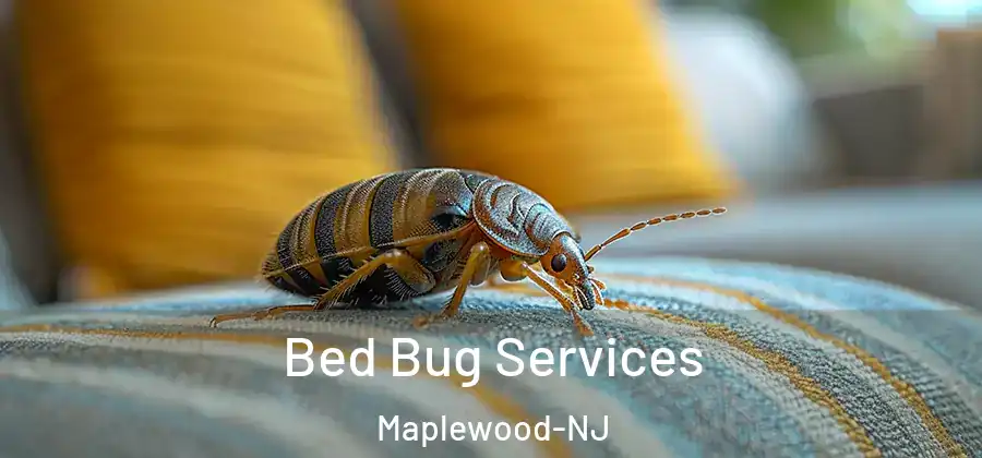 Bed Bug Services Maplewood-NJ