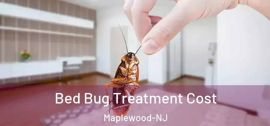 Bed Bug Treatment Cost Maplewood-NJ