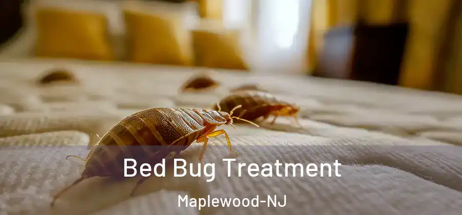 Bed Bug Treatment Maplewood-NJ