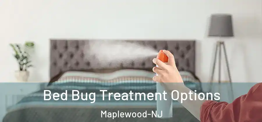 Bed Bug Treatment Options Maplewood-NJ