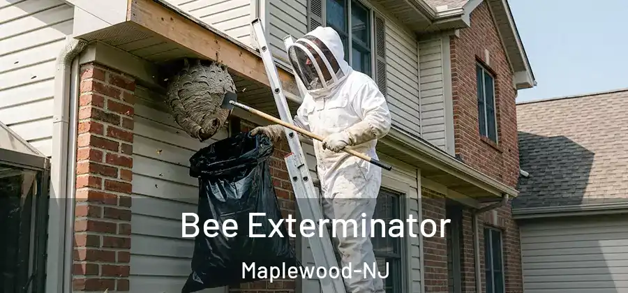 Bee Exterminator Maplewood-NJ
