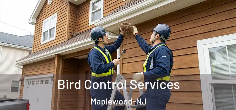 Bird Control Services Maplewood-NJ