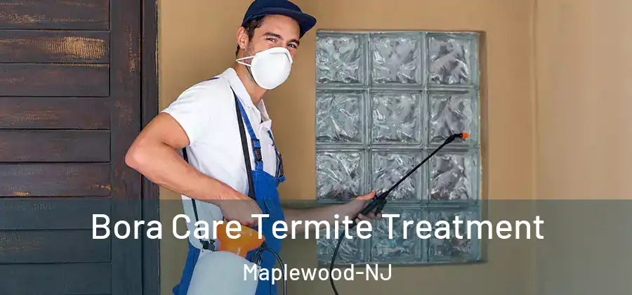 Bora Care Termite Treatment Maplewood-NJ