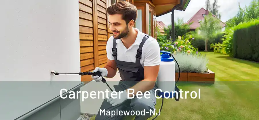 Carpenter Bee Control Maplewood-NJ