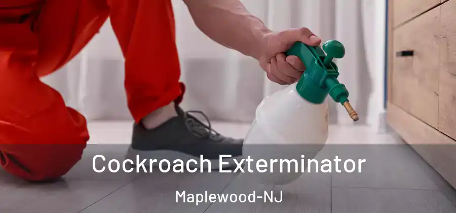 Cockroach Exterminator Maplewood-NJ