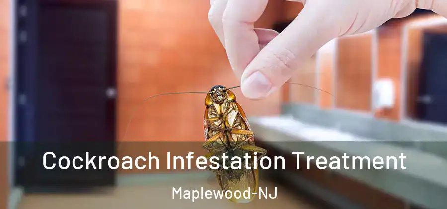  Cockroach Infestation Treatment Maplewood-NJ