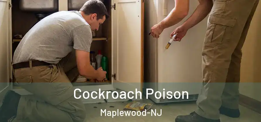  Cockroach Poison Maplewood-NJ