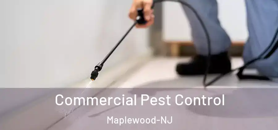 Commercial Pest Control Maplewood-NJ