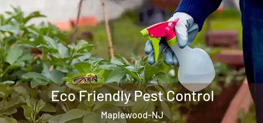  Eco Friendly Pest Control Maplewood-NJ