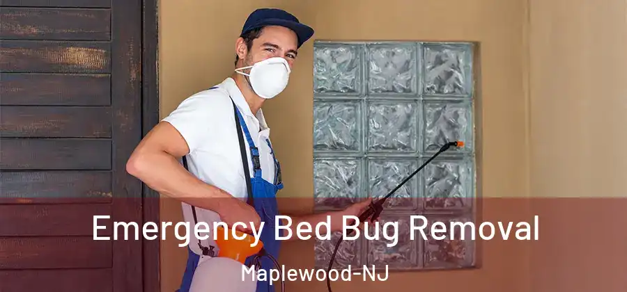 Emergency Bed Bug Removal Maplewood-NJ