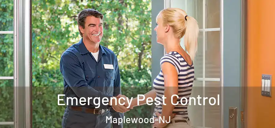 Emergency Pest Control Maplewood-NJ
