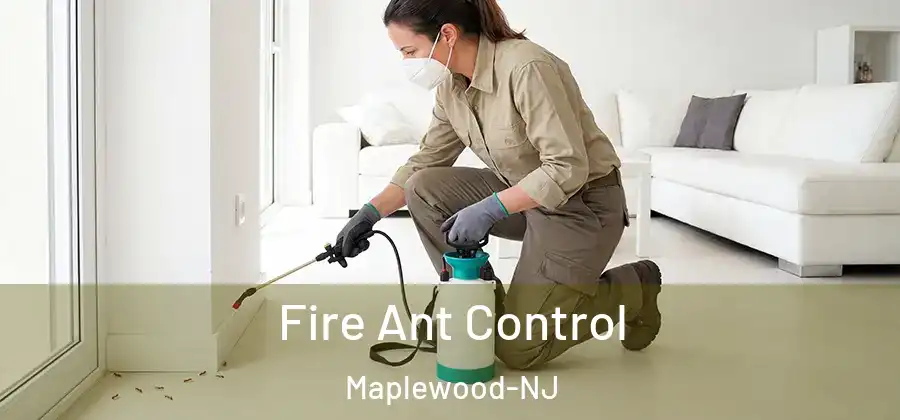  Fire Ant Control Maplewood-NJ