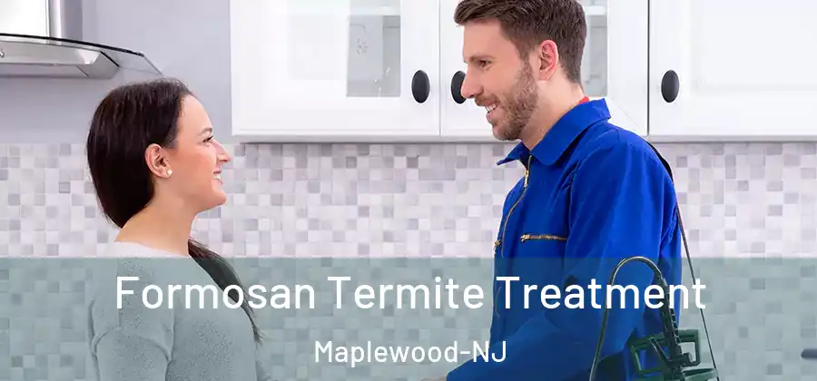  Formosan Termite Treatment Maplewood-NJ
