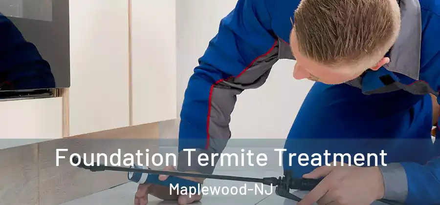  Foundation Termite Treatment Maplewood-NJ