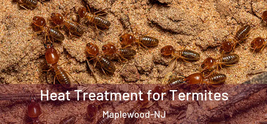 Heat Treatment for Termites Maplewood-NJ