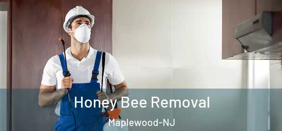  Honey Bee Removal Maplewood-NJ