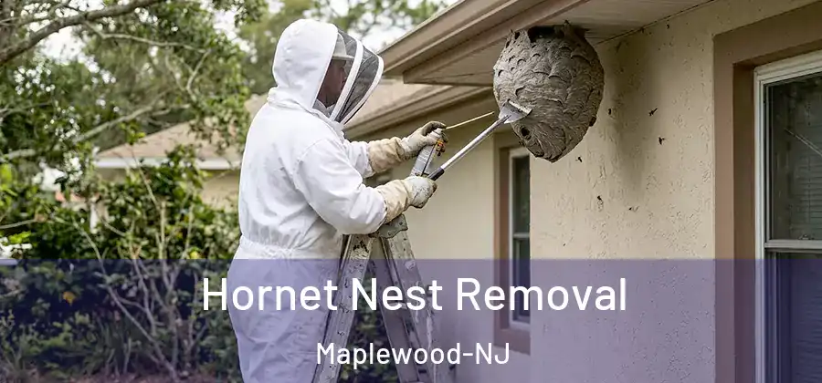 Hornet Nest Removal Maplewood-NJ