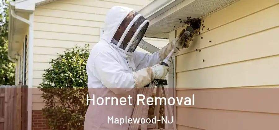 Hornet Removal Maplewood-NJ