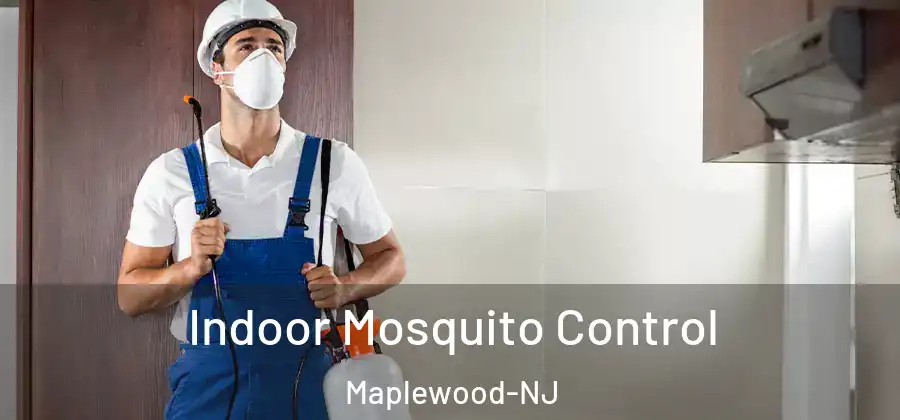 Indoor Mosquito Control Maplewood-NJ