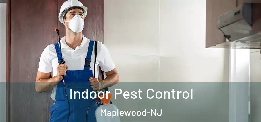  Indoor Pest Control Maplewood-NJ