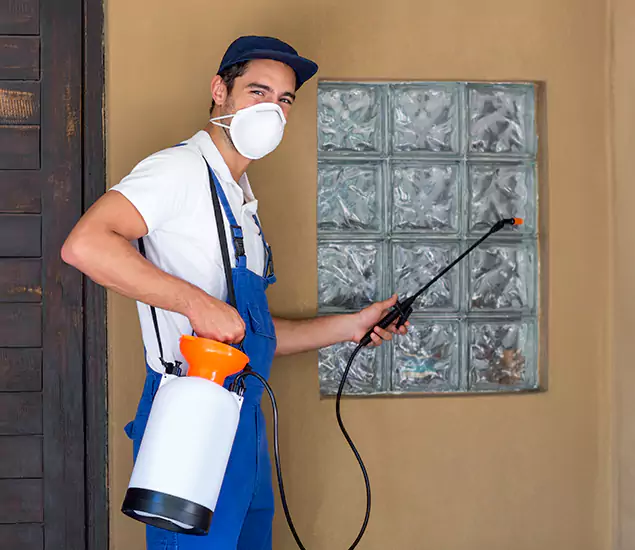 About Heat Treatment for Termites Experts in Maplewood, NJ