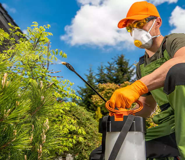 Your Mosquito Repellent Barrier Service in Maplewood, NJ