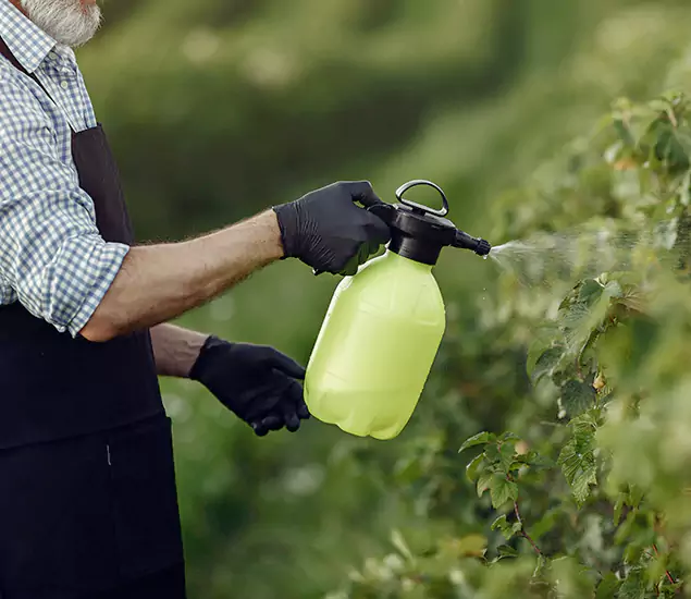 In Maplewood, NJ Trusted Pest Management Experts at Maplewood Pest Control Pro