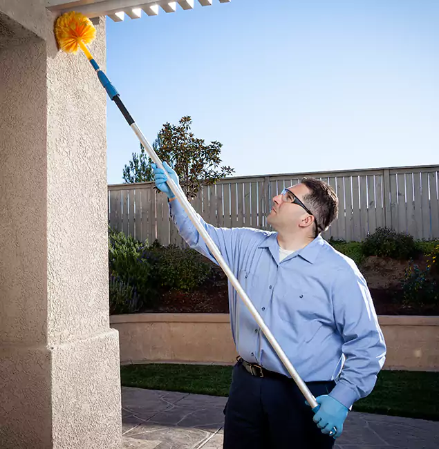 Why Choose Maplewood Pest Control Pro for Foundation Termite Treatment in Maplewood, NJ?