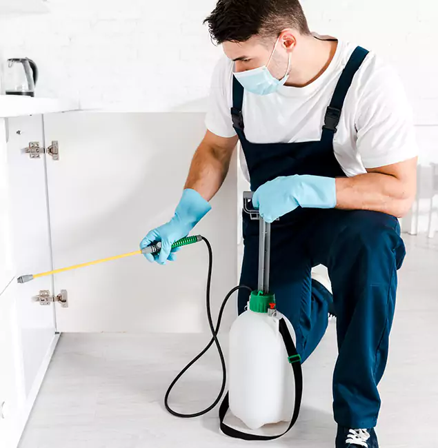Why Maplewood, NJ Homeowners Trust Us for German Roach Control?