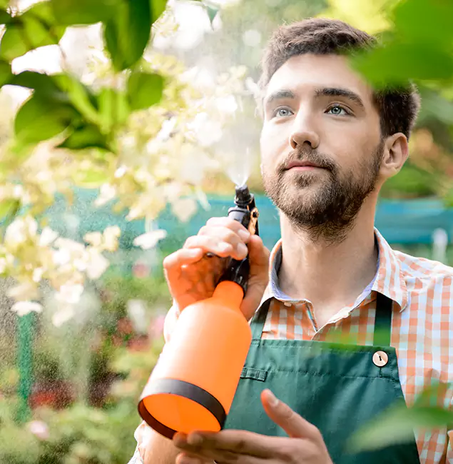 Why Maplewood Homeowners Call Maplewood Pest Control Pro for Mosquitoes in House?