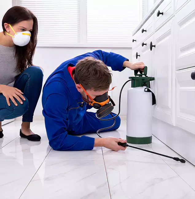 Why Choose Maplewood Pest Control Pro in Maplewood, NJ?